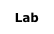 Lab